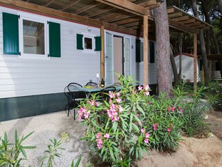 Holiday park Lido di Spina Outdoor Recording 6