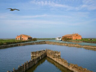 Holiday park Lido di Spina Environment 27