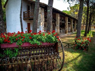 Holiday park Grado Outdoor Recording 1