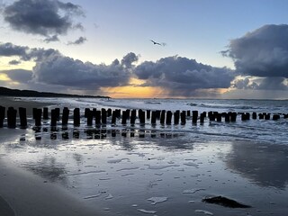 Holiday apartment Zoutelande Environment 29