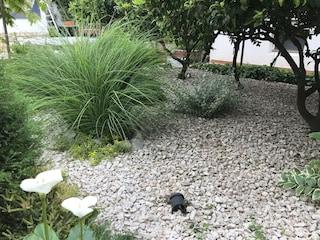 Apartment Primosten  8