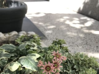 Apartment Primosten  10