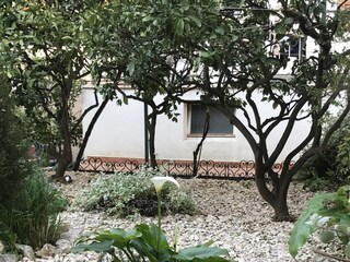 Apartment Primosten  11