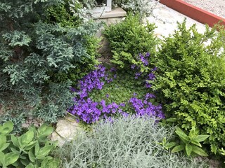 Apartment Primosten  12