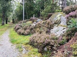 Ferienhaus Strömstad Außenaufnahme 7