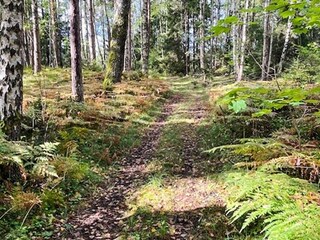 Ferienhaus Strömstad  19