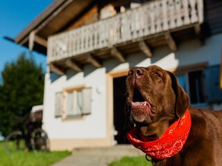 Casa per le vacanze Bayerbach Registrazione all'aperto 5
