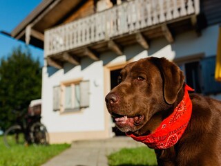 Casa per le vacanze Bayerbach Registrazione all'aperto 6