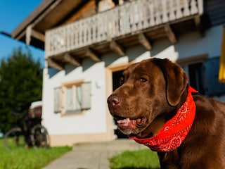 Holiday house Bayerbach Outdoor Recording 6
