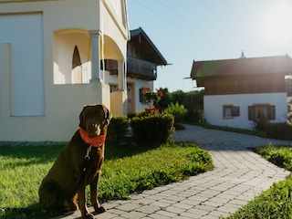 Vakantiehuis Bayerbach Buitenaudio-opname 2