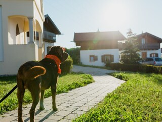 Casa de vacaciones Bayerbach Entorno 20