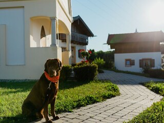 Casa de vacaciones Bayerbach Grabación al aire libre 4