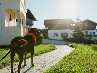 Ferienhaus Bayerbach Umgebung 19