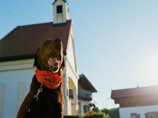 Casa per le vacanze Bayerbach Ambiente 19