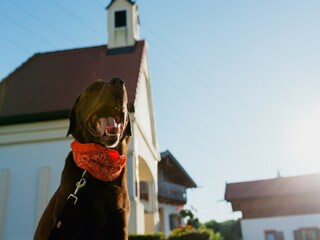 Maison de vacances Bayerbach Environnement 20