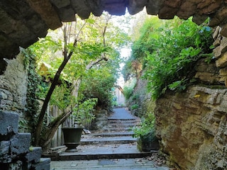 Ferienhaus Anduze Umgebung 27