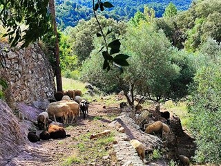 Casa per le vacanze Anduze Ambiente 29