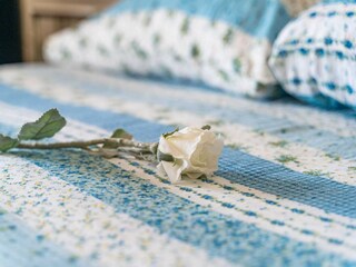 Apartamento Dubrovnik  53