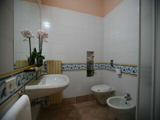 Vakantiepark Desenzano del Garda Kenmerken 18