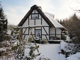 The garden in the winter