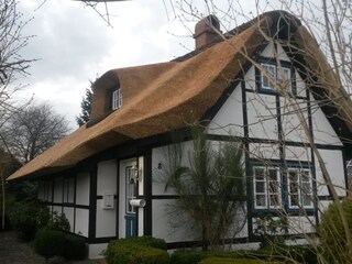 The new thatched roof