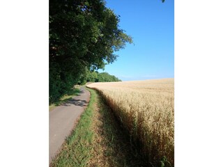 Wanderweg, direkt hinter dem Haus