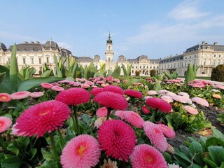 Schloss Festetics in Keszthely (3 km)