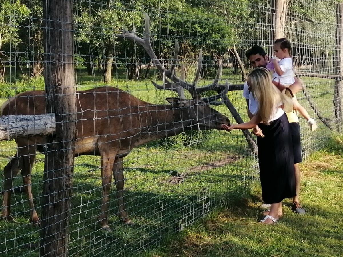 Tierpark in Gyenesdiás (1,5km)