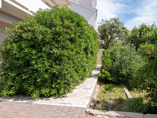 Apartment Pag (Stadt)  2