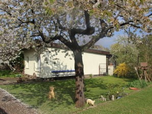 Bungalow Familienidyll - Waren / Müritz & Umgebung - image1