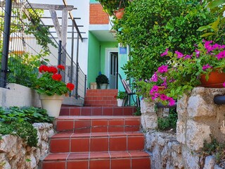 Apartment Ćunski  2