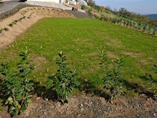 Holiday house Koprivnica-Krizevci Outdoor Recording 2