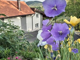 Holiday house Koprivnica-Krizevci Outdoor Recording 12