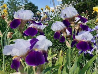Holiday house Koprivnica-Krizevci Outdoor Recording 13