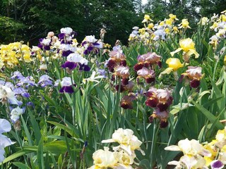 Holiday house Koprivnica-Krizevci Outdoor Recording 3