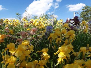 Holiday house Koprivnica-Krizevci Outdoor Recording 4
