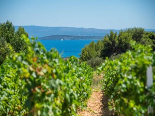 Villa Kastel Novi Enregistrement extérieur 5