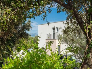 Villa Kastel Novi Registrazione all'aperto 8