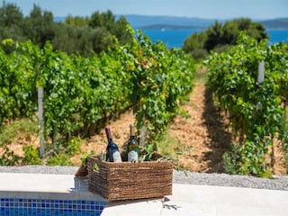 Villa Kastel Novi  40