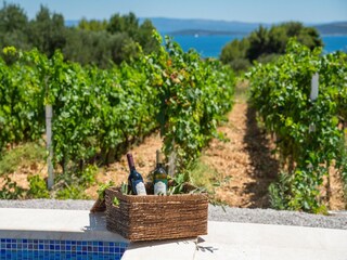 Villa Kastel Novi Outdoor Recording 17