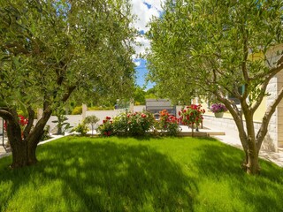 Holiday house Duće Outdoor Recording 3