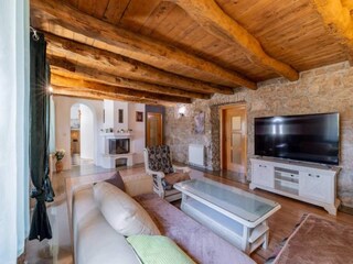 Villa Zmijavci Features 8