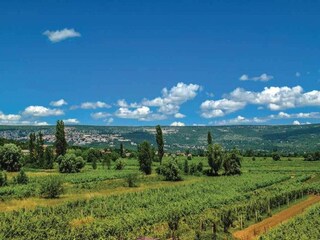 Villa Zmijavci Environnement 36