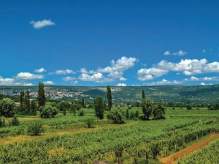 Villa Zmijavci Environment 36