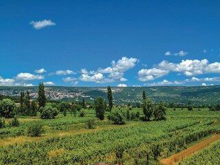 Villa Zmijavci Ambiente 41