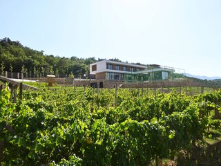 Villa Zmijavci Umgebung 41