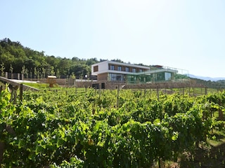 Villa Zmijavci Umgebung 43