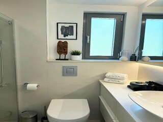 Villa Zmijavci Features 21