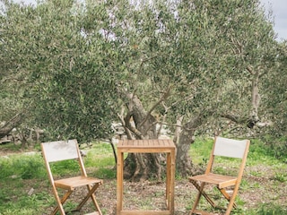 Ferienhaus Maslinica Außenaufnahme 9