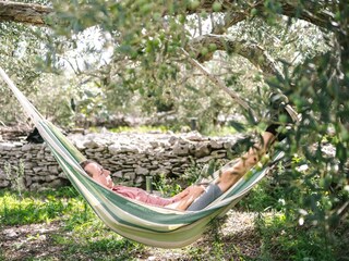 Maison de vacances Maslinica  50